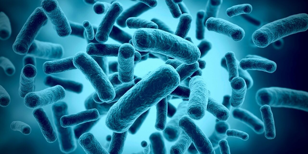 Bakterie to nasi nieodłączni towarzysze i uczestnicy życia.